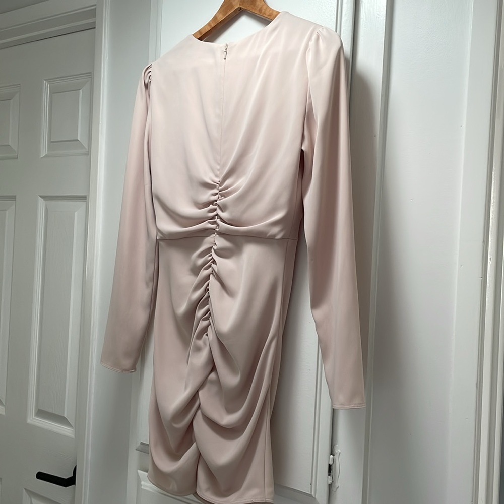 Babaton Encore Ruched Dress - Picture 8 of 10